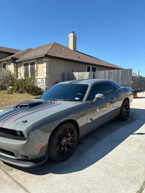 Scatty Pack in for its full treatment! 😮💨 - Image 1